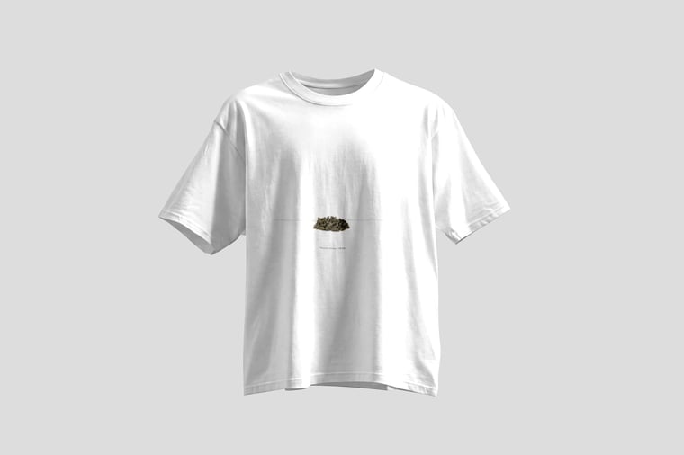 Tee — Ginseng Oolong