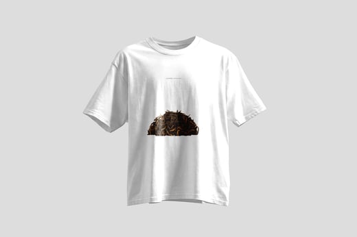 Tee — Da Jin Ya Shu Pu-erh
