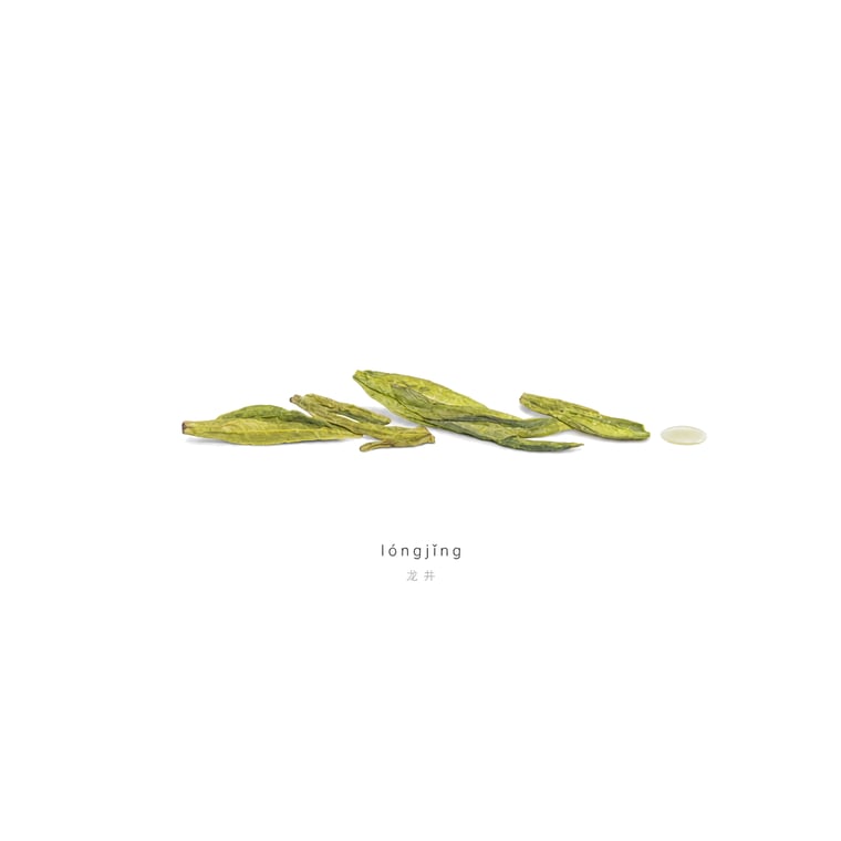 The design — Xī Hú Lóngjǐng