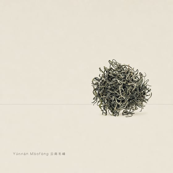Yunnan Mao Feng Green Tea