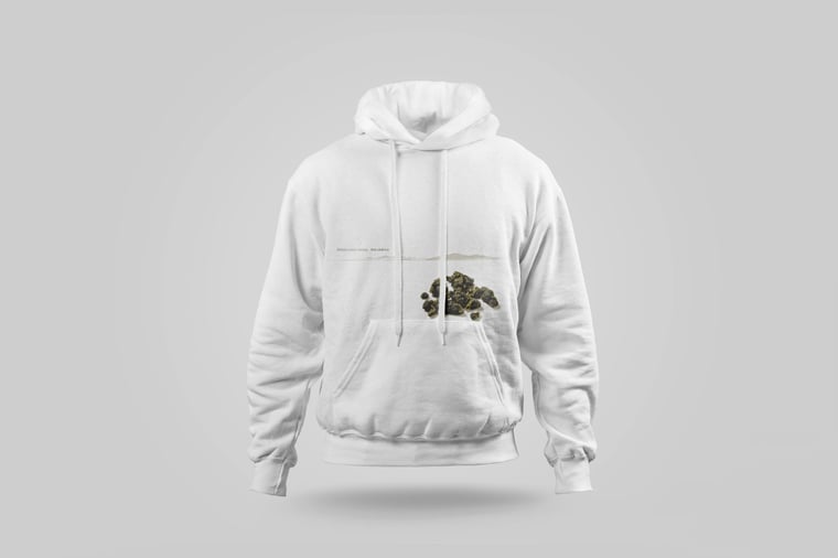 Hoodie — Ālǐshān Zhū Lù Chá