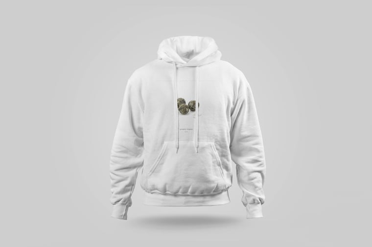 Hoodie — Gòng Méi