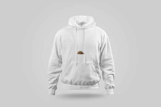 Hoodie — Jīn Jùn Méi