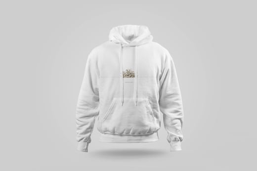 Hoodie — Bái Jiān